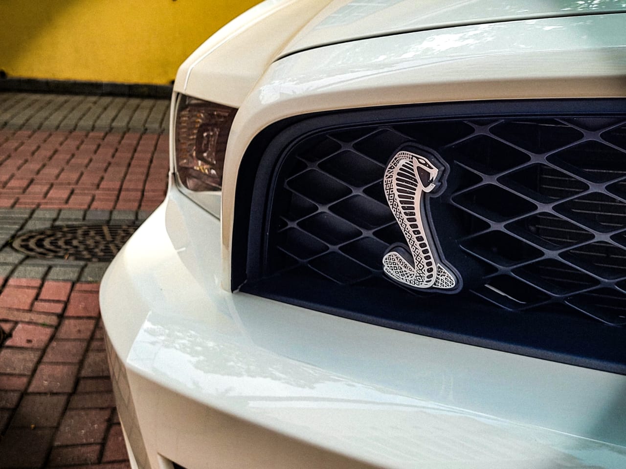 MUSTANG SHELBY GT 500 CONVERSÍVEL 2011/2011