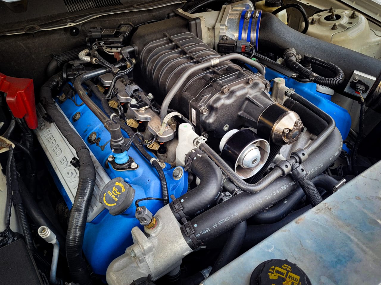 MUSTANG SHELBY GT 500 CONVERSÍVEL 2011/2011