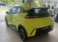 BYD DOLPHIN MINI