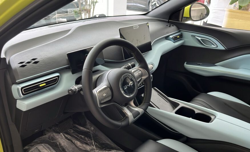 BYD DOLPHIN MINI